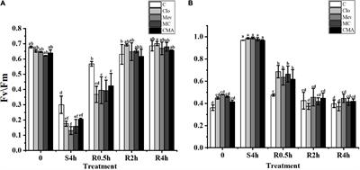 Synthesis of Abscisic Acid in Neopyropia yezoensis and Its Regulation of Antioxidase Genes Expressions Under Hypersaline Stress